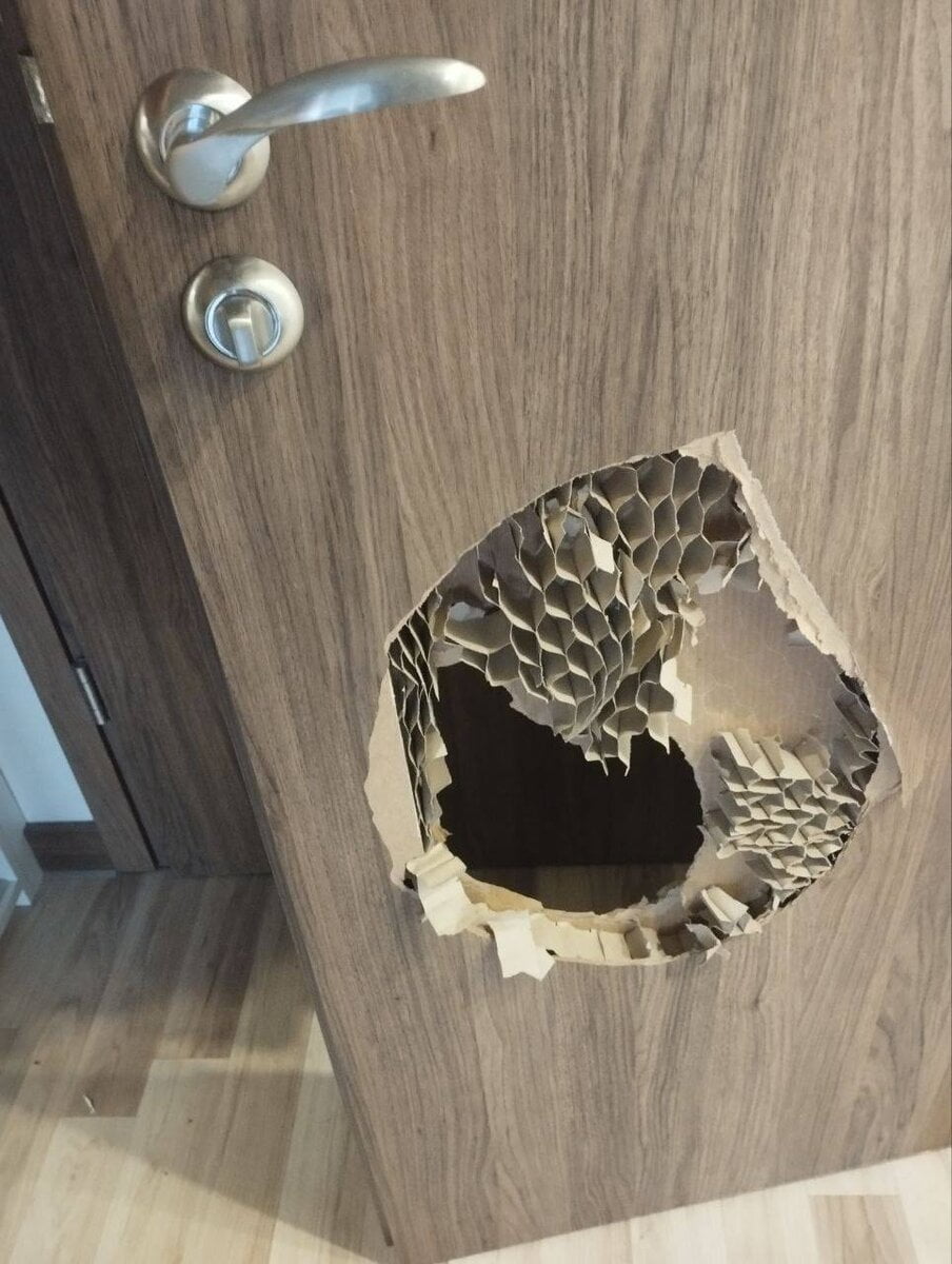 Зачем нужен залог при посуточной аренде?